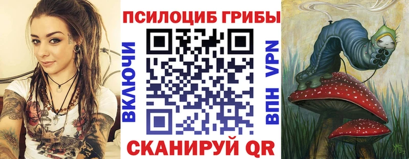 дарк нет наркотические препараты  Шарья  Псилоцибиновые грибы прущие грибы 